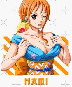 one piece nami2